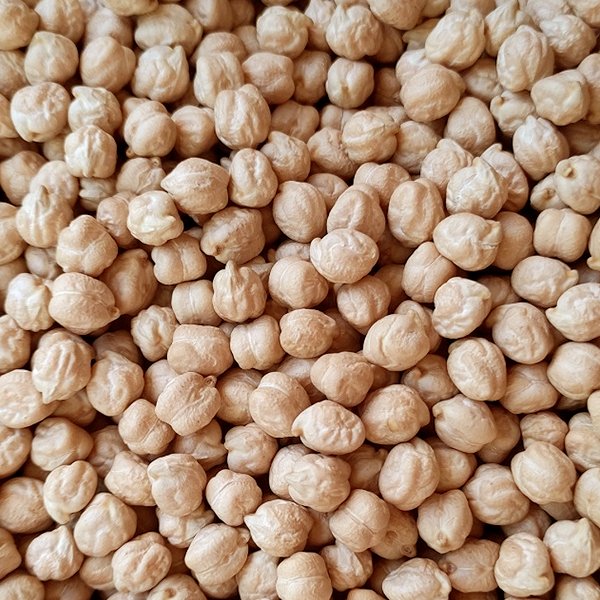 Garbanzo Kabuli