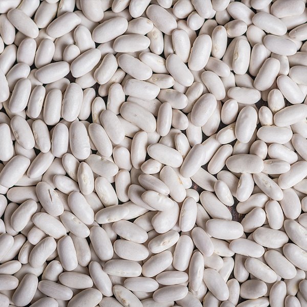 Poroto Alubia Blanco